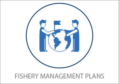 CFMC fishery Management Plans