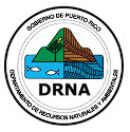 PR -DNER